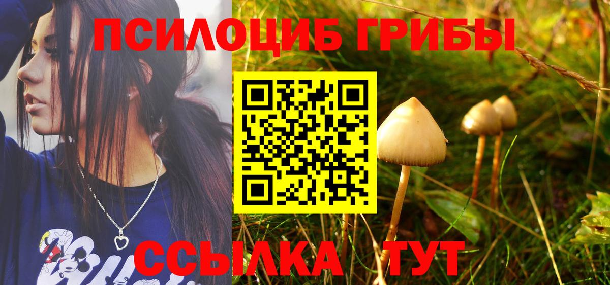купить наркоту  Галлюциногенные грибы Psilocybine cubensis  Вход с VPN  Псилоцибиновые грибы Psilocybe  Реж 